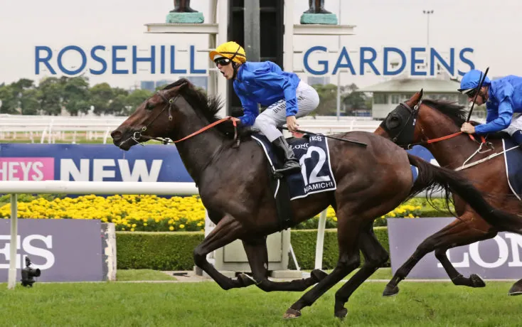 Rosehill Tip Sheet & Staking Plan: Saturday 25th April Image
