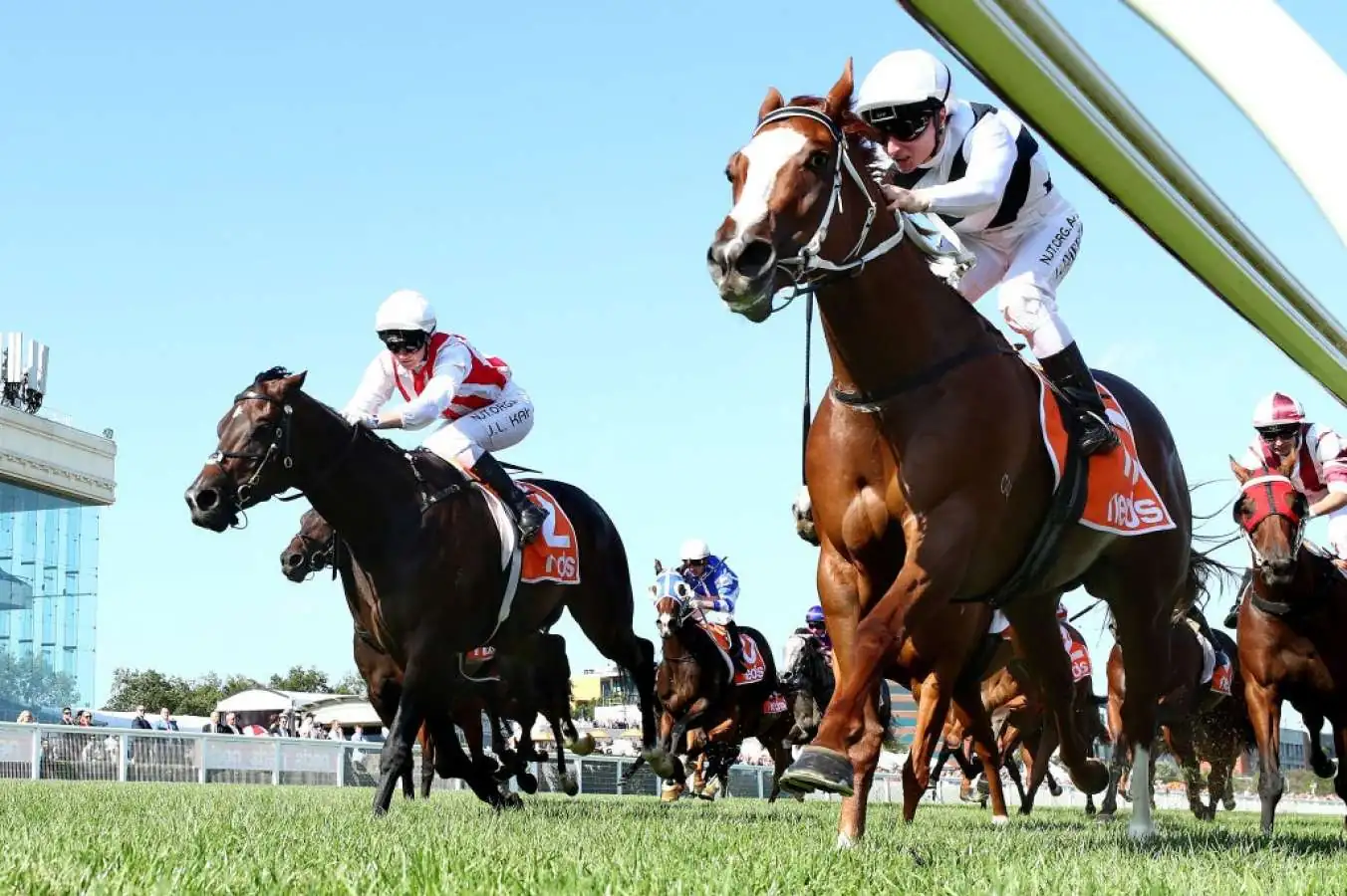 Our Blackbook: Horses Running Today & Staking Plan 6/3 Image