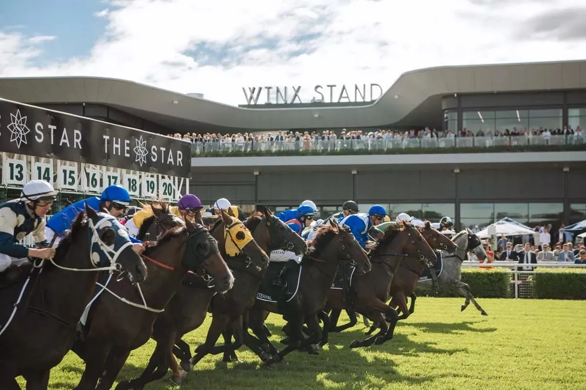 Black Book: Horses You Must Follow From Randwick 20/12 Image