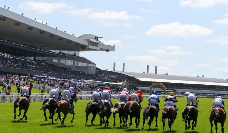 Horses You Must Follow Next Start From Rosehill Last Saturday 30/11 Image