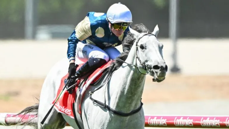 WHEARTY OUT TO FURTHER FLEMINGTON SUCCESS Image