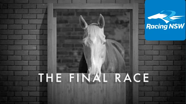 RacingNSW Lodges Complaint Claiming There Were ‘Serious Breaches’ In the ABC Report Image