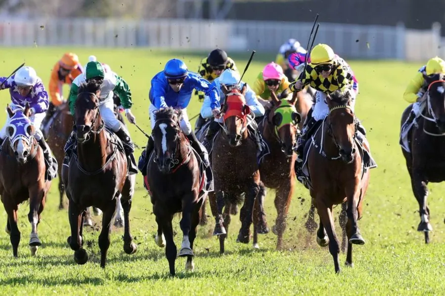 Rosehill Tip Sheet & Staking Plan – Saturday 18th January Image