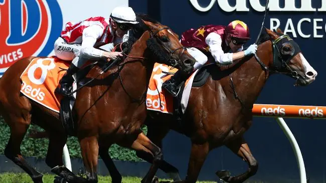 Futurity Stakes: What The Jockeys Said Image