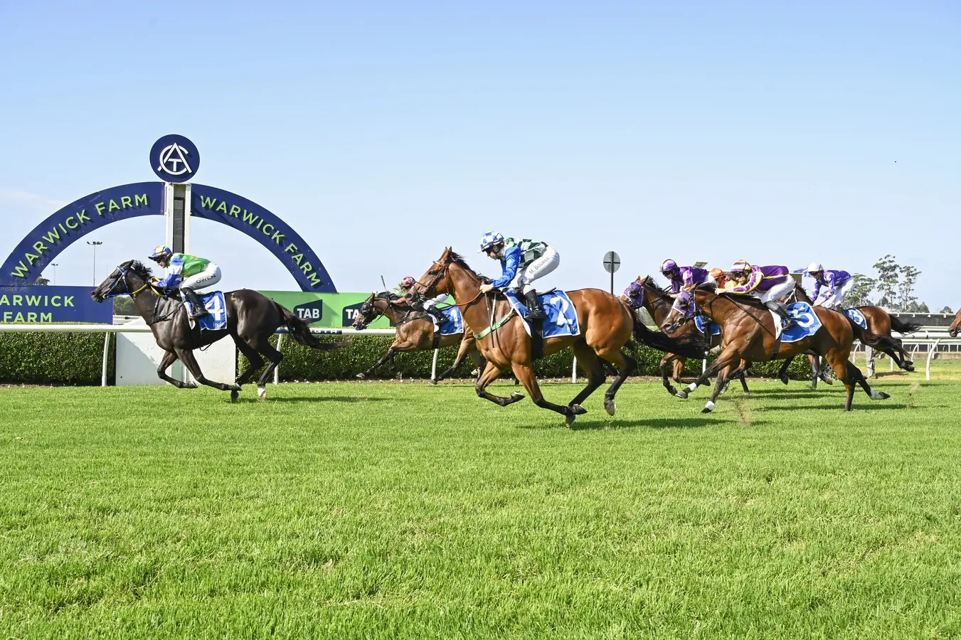 RACING: Warwick Farm Tips – Wednesday 7th January Image