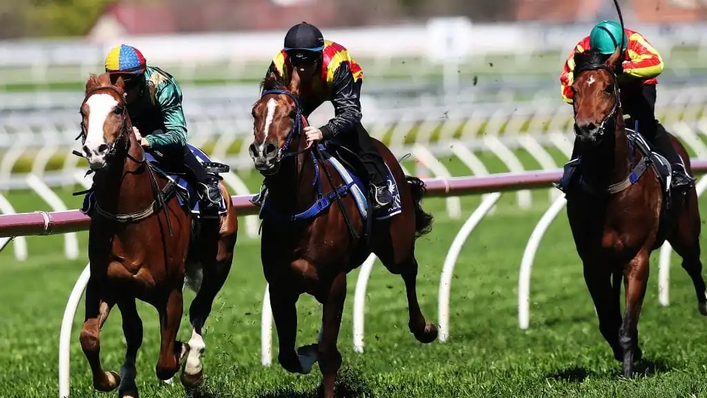 Trial Review: Horses To Follow From Randwick 13/12 Image