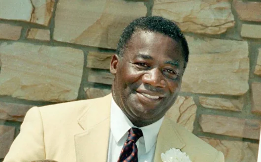 NFL Hall of Famer Willie Wood dies at age of 83 Image