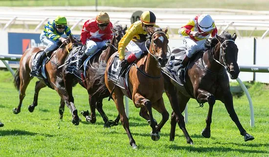 RACING: Belmont Park Tips – Wednesday 3/6 Image