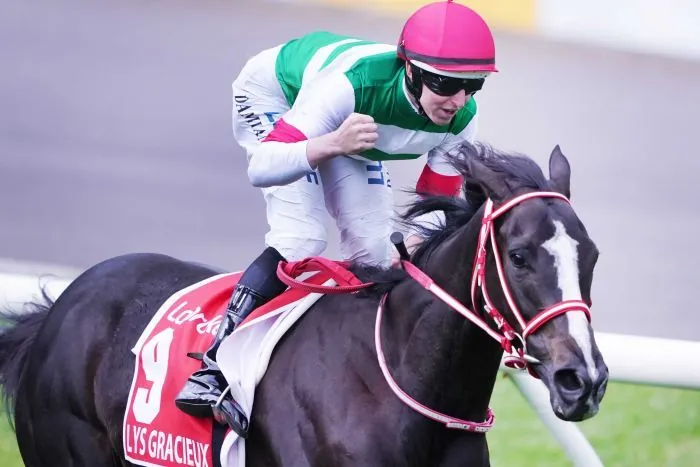 Cox Plate Review: What The Jockeys Said Image