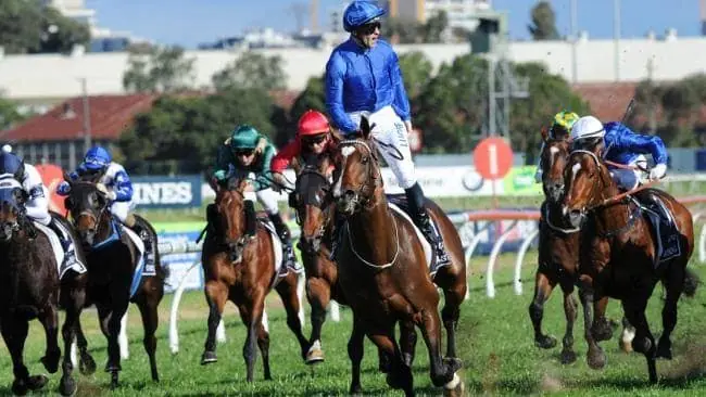Group 1 Golden Rose Preview & Analysis Image