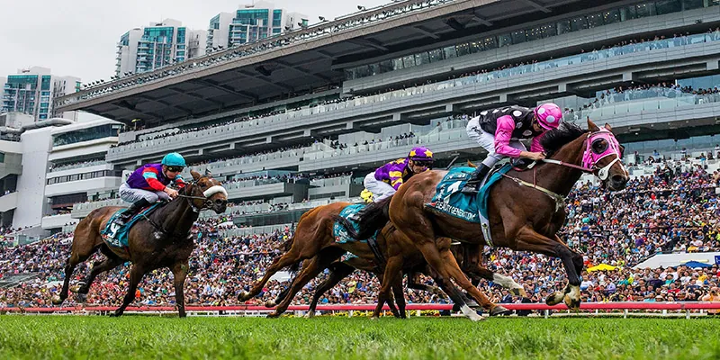 RACING: Sha Tin Tips – Sunday 31/5 Image