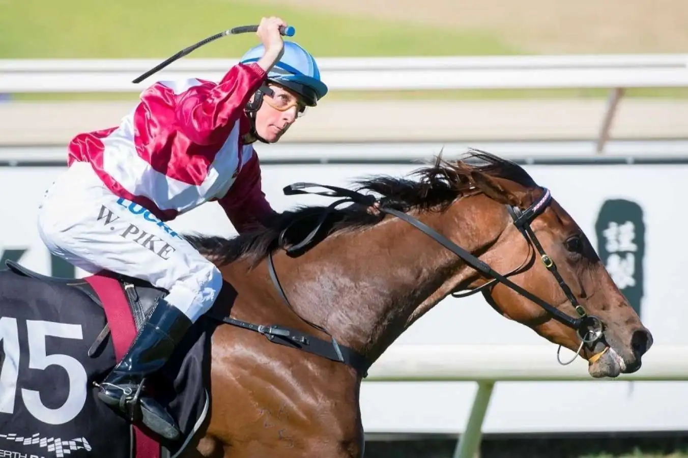 Horses to Follow : Belmont Saturday 11th July Image