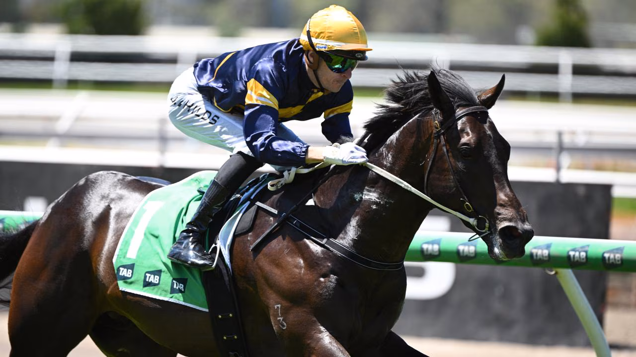 BRIGHT TIMES AHEAD FOR BIG SKY Image