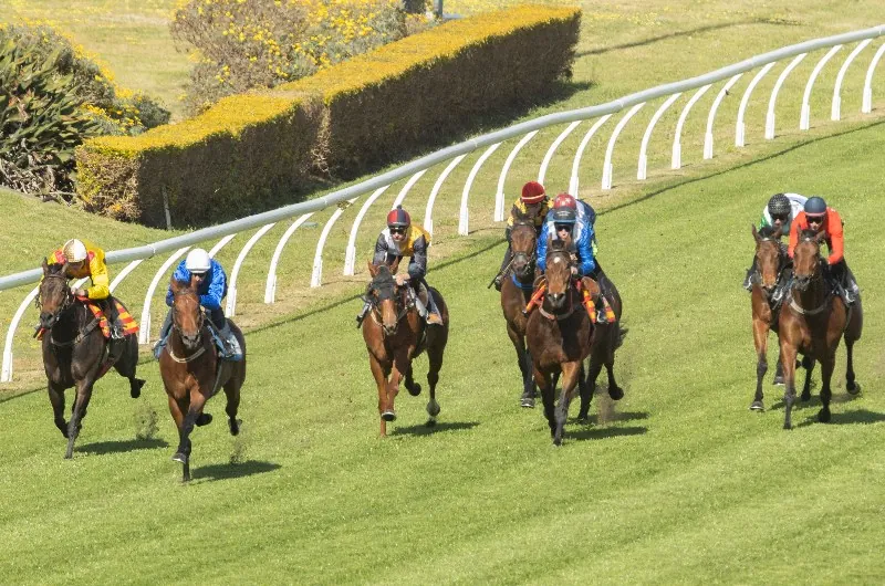 Trial Review: Horses That Caught The Eye At The Trials This Week 29/1 Image