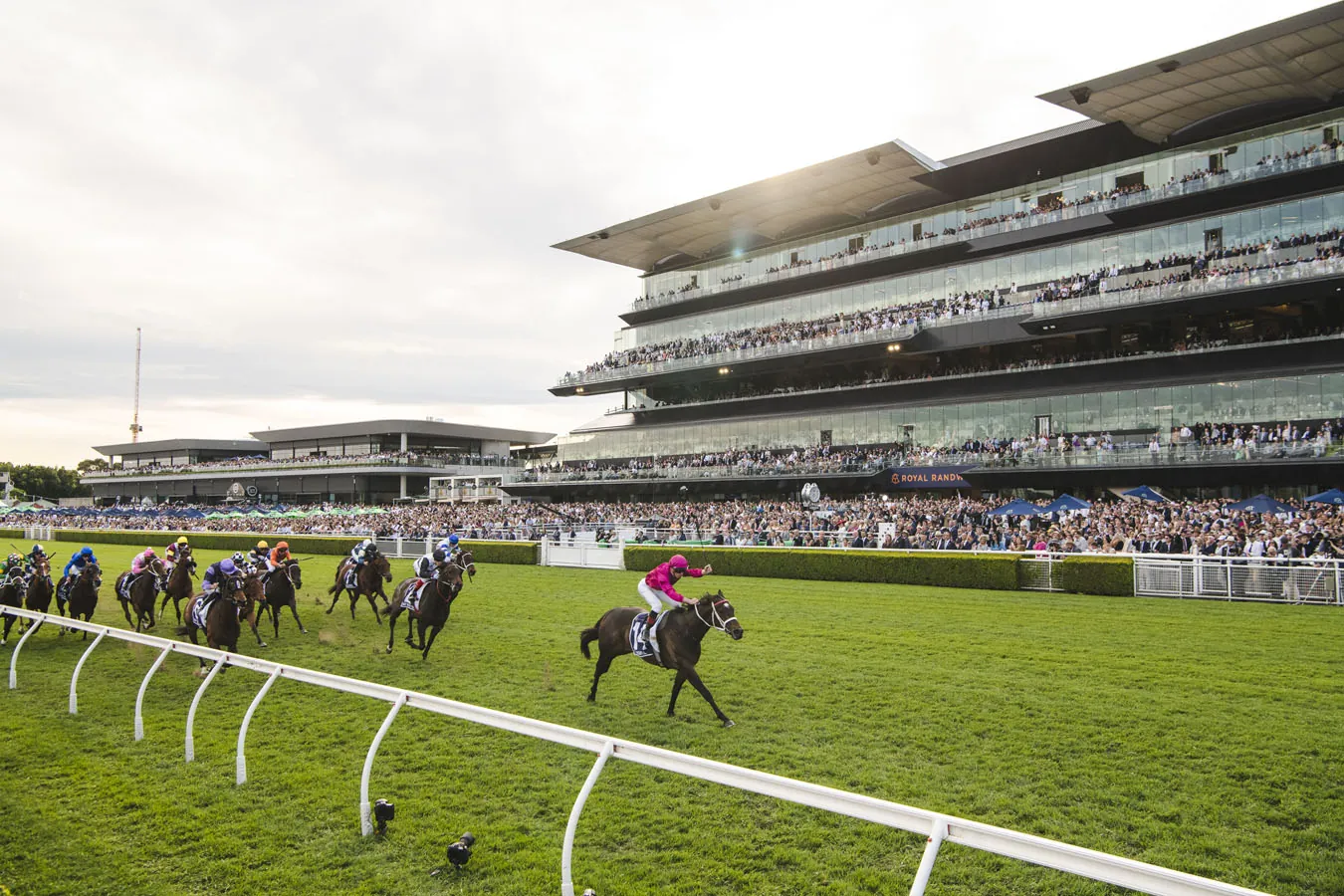 RACING: Randwick Best Selection & Value Play 23/5 Image