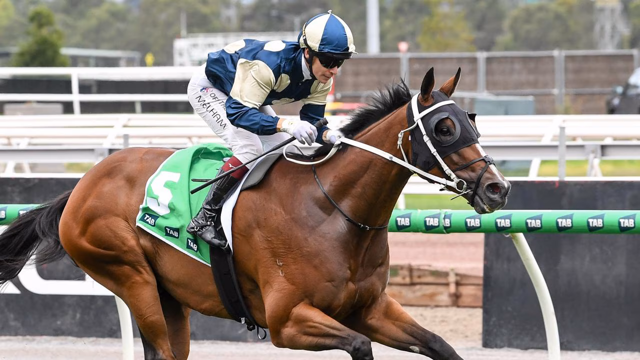 BIRDMAN FLYING TO THE AUSTRALIAN CUP Image