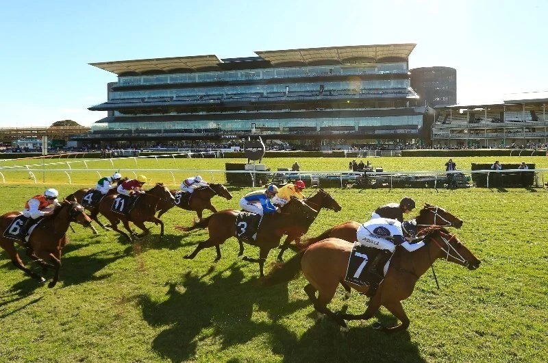 RACING: Kensington Best Selection & Value Play 12/5 Image