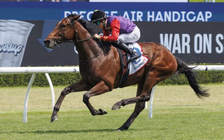 MELBOURNE CUP CAMPAIGN KICKS OFF FOR THE KING’S STAYER Image