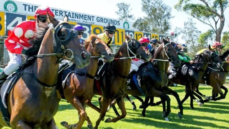 RACING: Gosford Best Selection & Value Play 9/5 Image