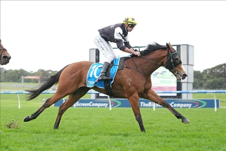 MERIDIUS SALUTES AGAIN AT ODDS Image