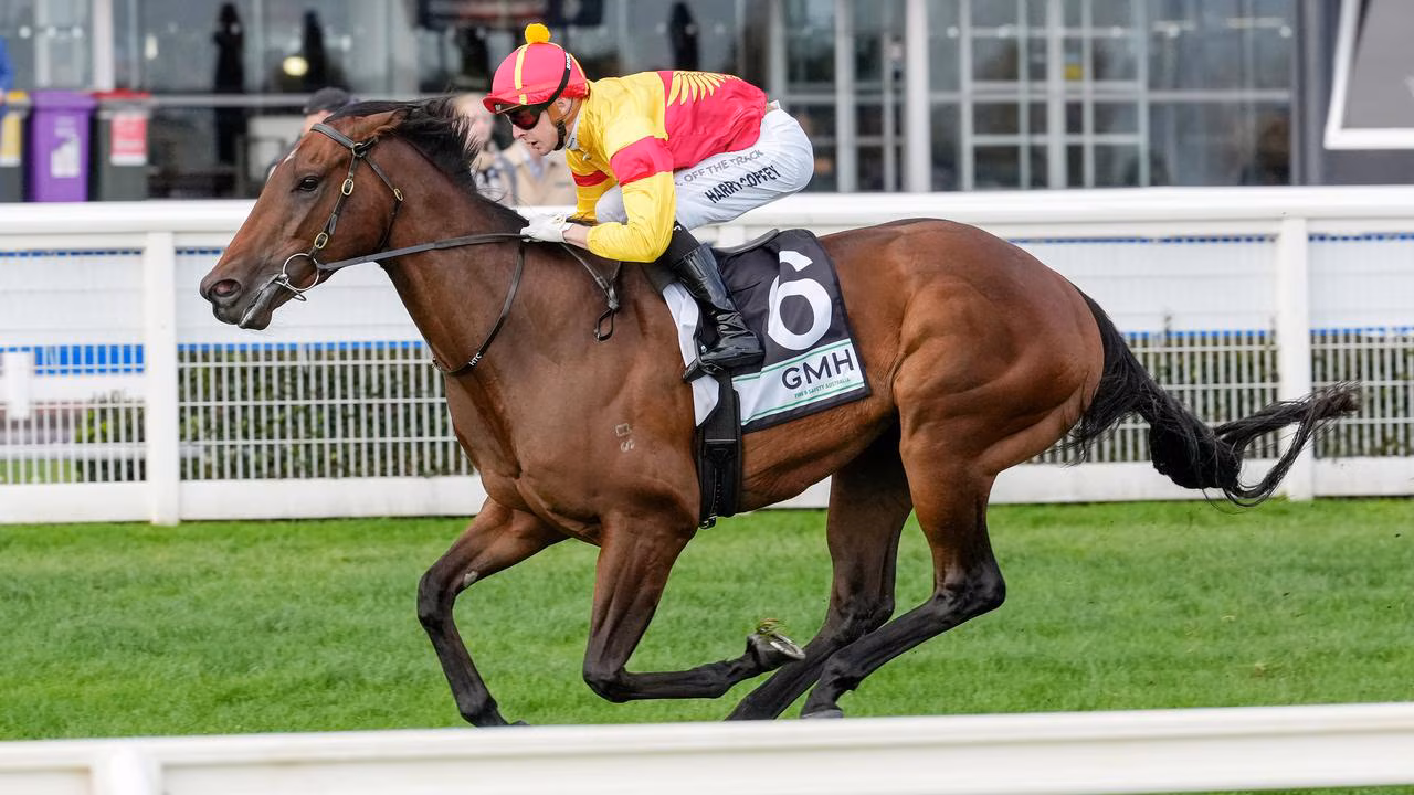 ADELAIDE NEXT ASSIGNMENT FOR EMERGING STAR Image