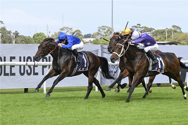 Racing Market Movers: Which Horses Have Been Backed This Saturday 16/5 Image