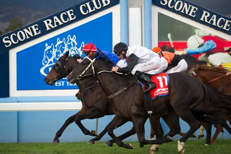 RACING: Scone Best Selection & Value Play 16/5 Image