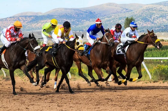 Key Betting Trends Emerging Across Global Horse Racing Image