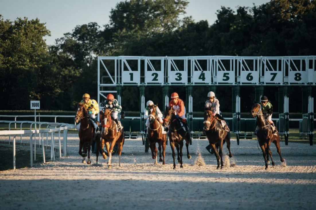 How Race Conditions Shape Betting Perspectives for the Belmont Stakes Image