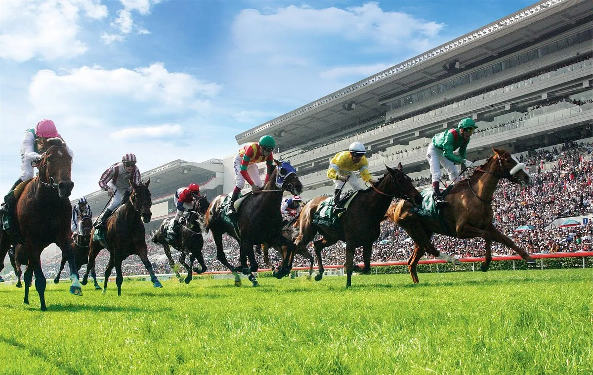 RACING: Sha Tin Best Selection 31/5 Image