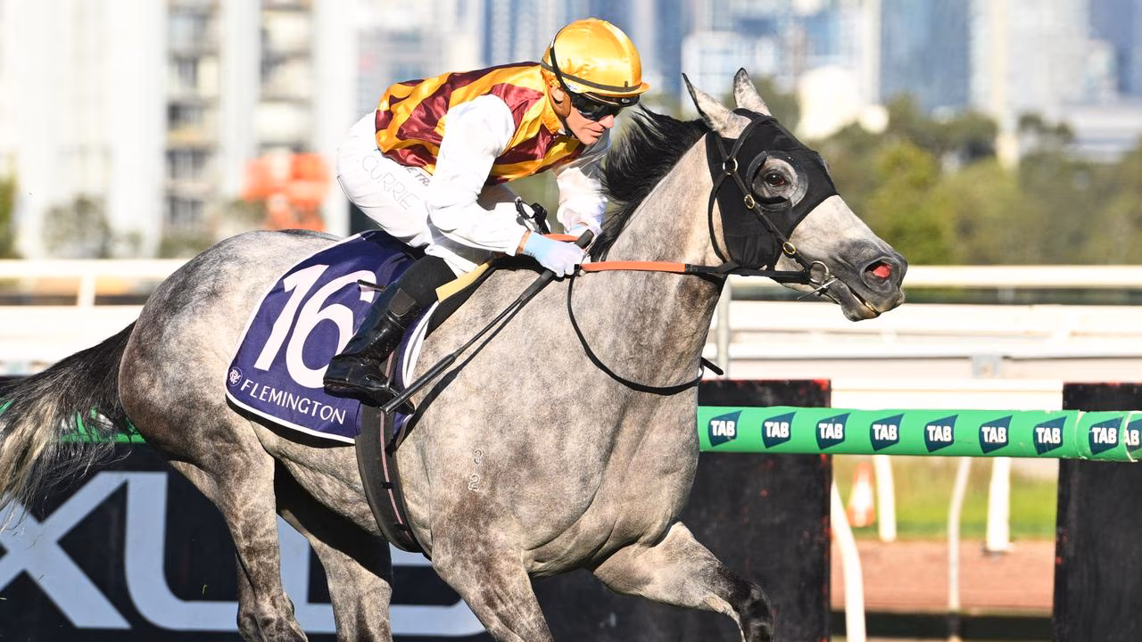 SILVASISTA RELISHES STAYING TRIP Image