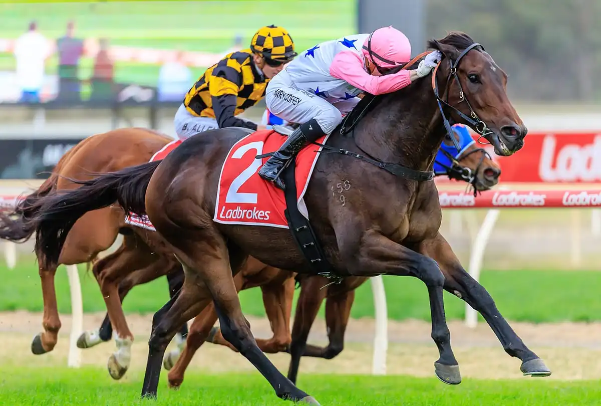 VON HAUKE’S GOLDEN BENDIGO WIN Image