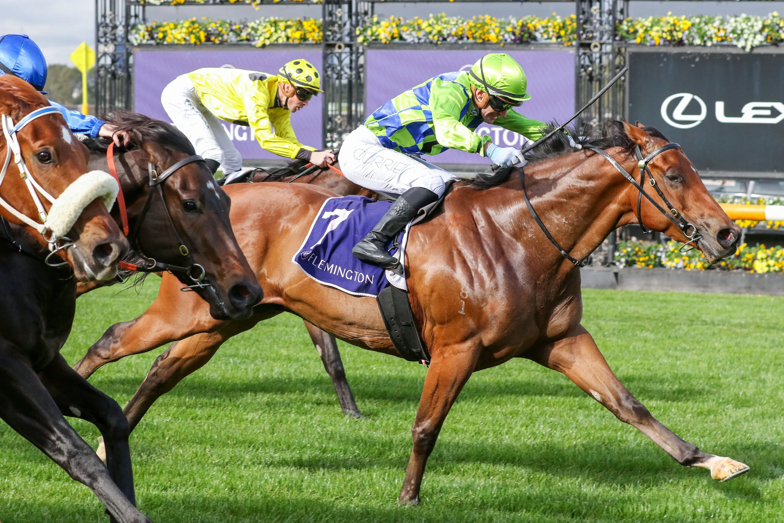 IT’S NO WONDER HE’S BACK AT BENDIGO Image