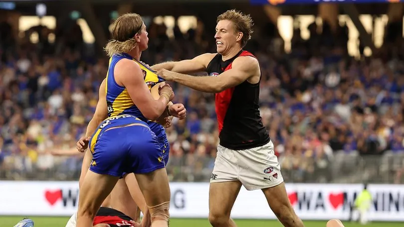AFL: West Coast Eagles Vs Essendon – Match Insights & Our Tips Image