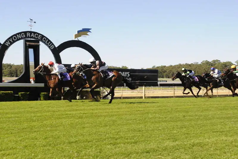 RACING: Wyong Best Selection & Value Play 18/3 Image