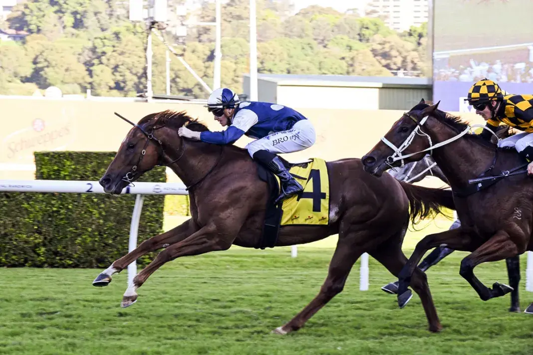 RACING: Randwick Tips – Saturday 18th April Image