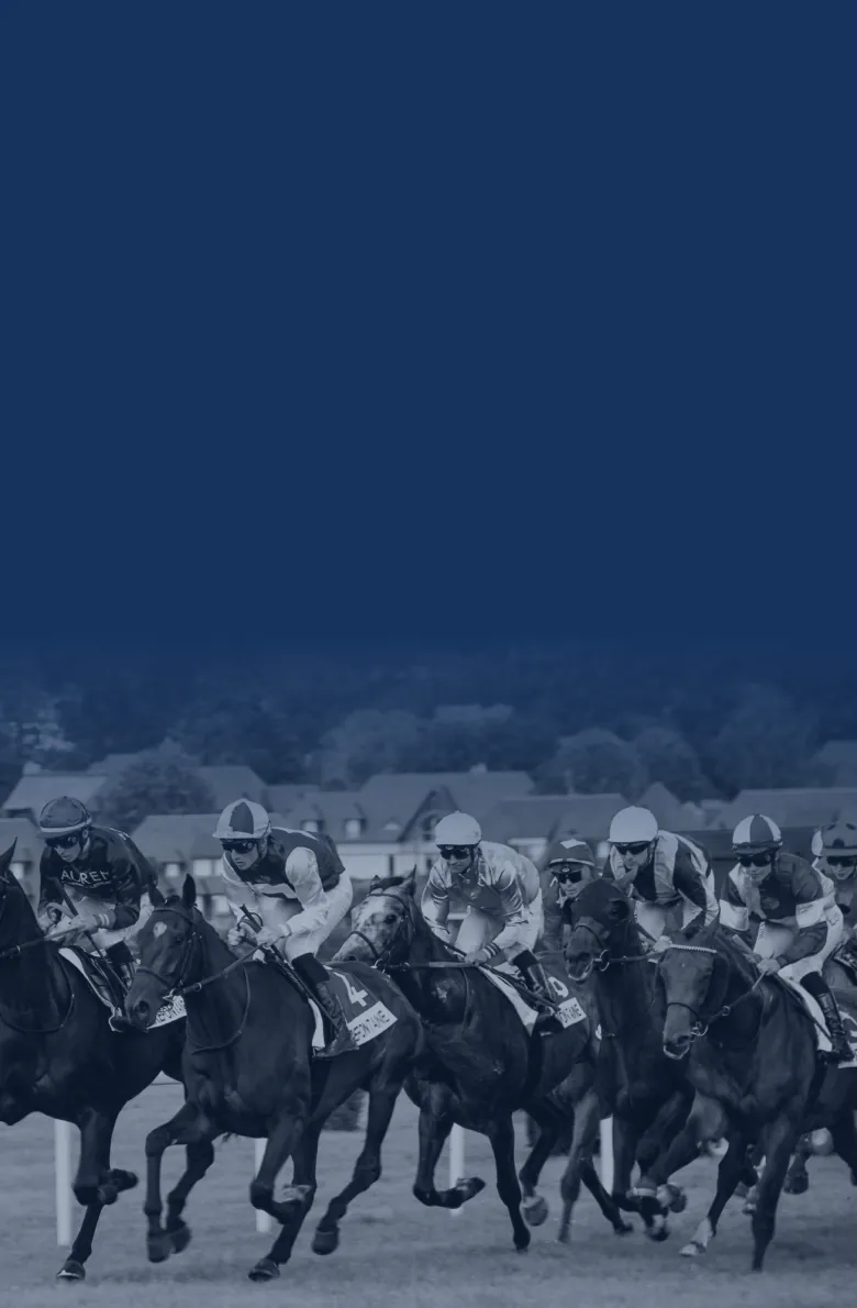 Newsletter Background