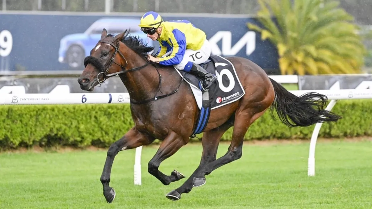 RACING: Canterbury Tips – Wednesday 17/6 Image