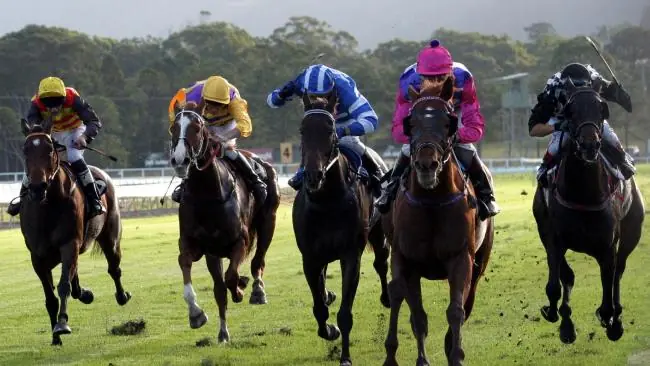 RACING TIPS: Coffs Harbour – Sunday 28/6 Image