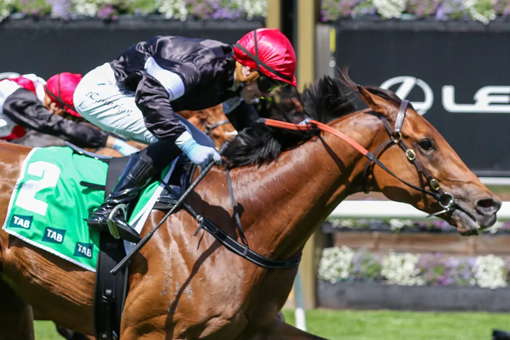 BEGG’S STRAIGHT THEORY PAYS OFF WITH DE BERGERAC Image