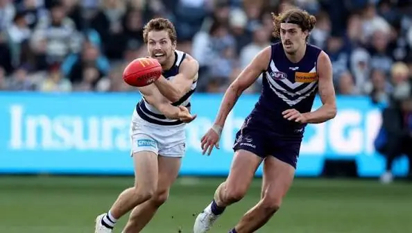 AFL: Fremantle vs Geelong – Match Insights & Our Tips Image