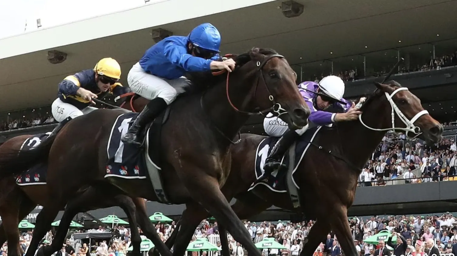 RACING: Rosehill Tips – Saturday 13/6 Image