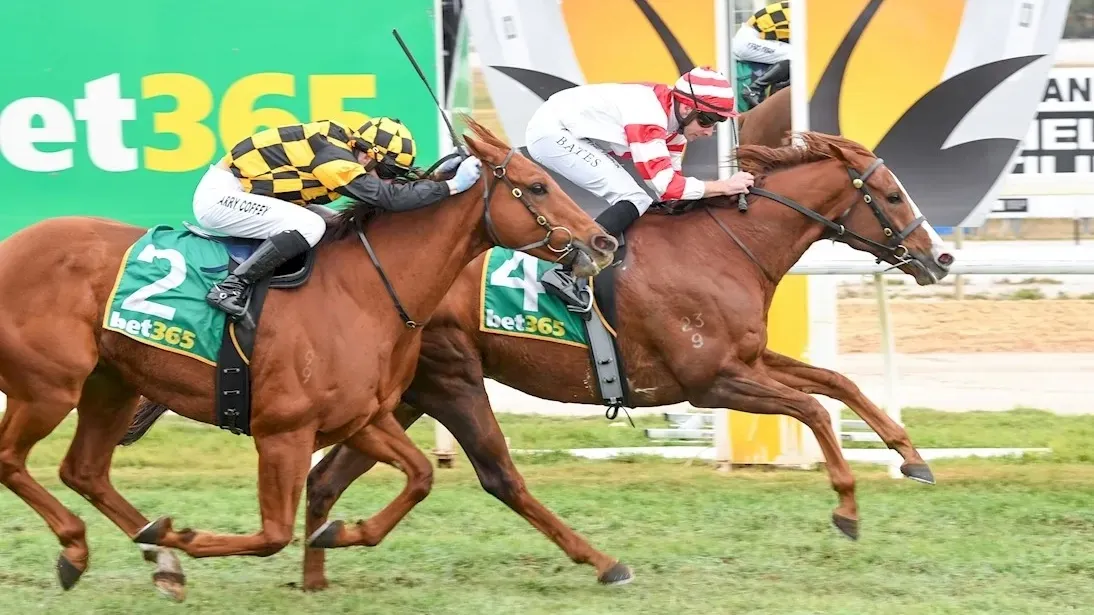 Swan Hill: Horses Racing From Our Black Book Friday 5/6 Image