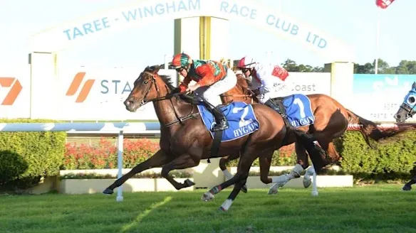 RACING TIPS: Taree – Tuesday 30/6 Image