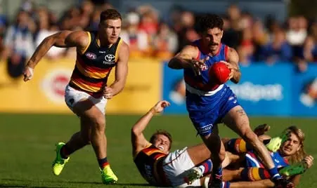 AFL: Western Bulldogs vs Adelaide – Match Insights & Our Tips Image