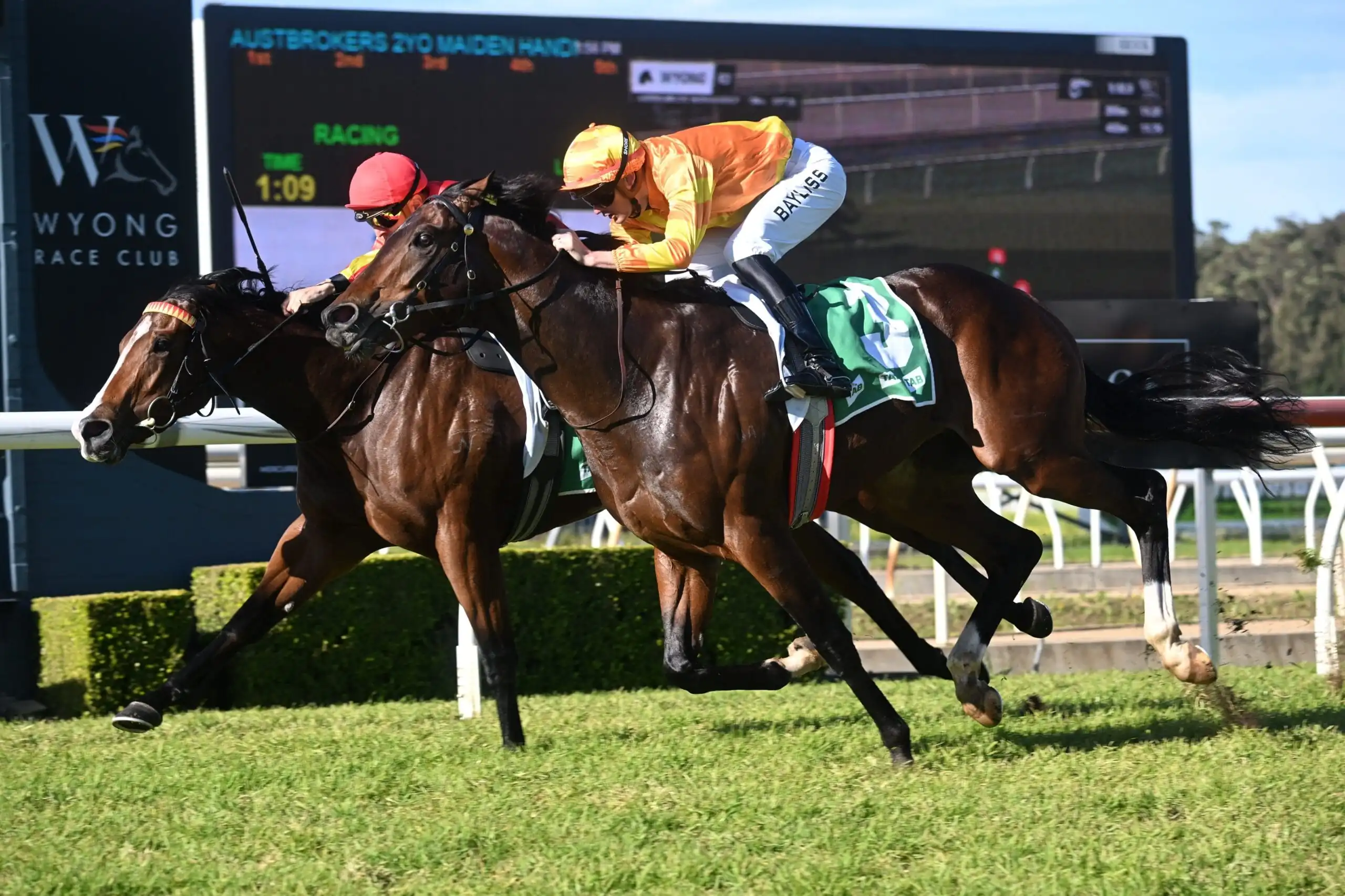 RACING: Wyong Tips – Sunday 7/6 Image