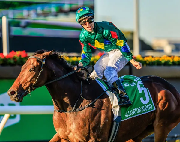 RACING: Alligator Blood Inquiry Delayed Again After Surprise Exit of Racing Integrity Heavyweight Image