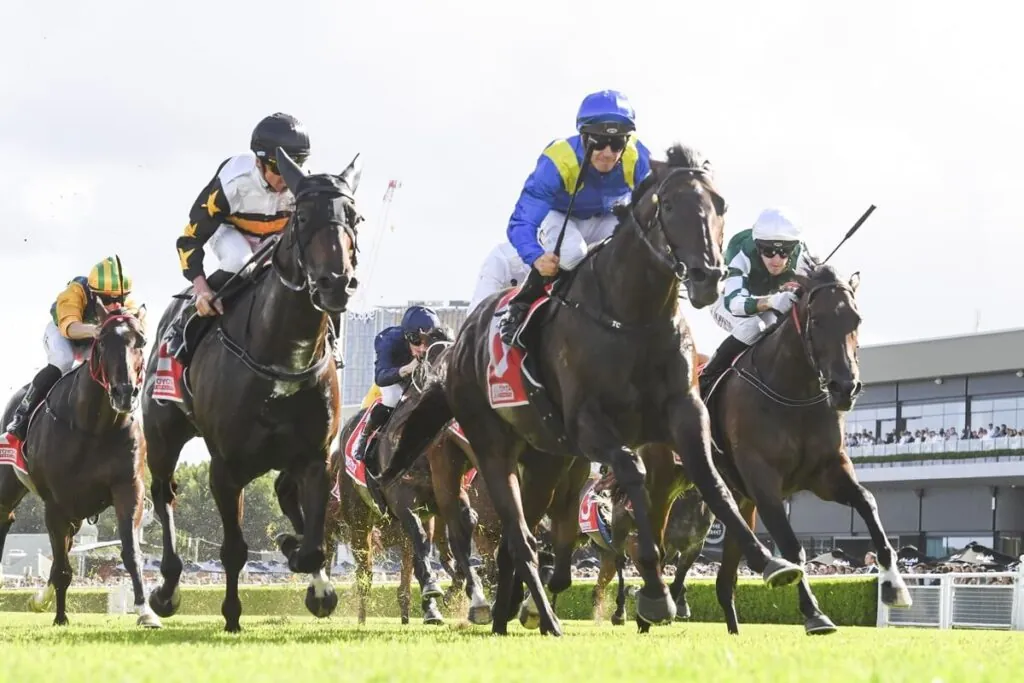RACING TIPS: Canterbury – Wednesday 8/7 Image