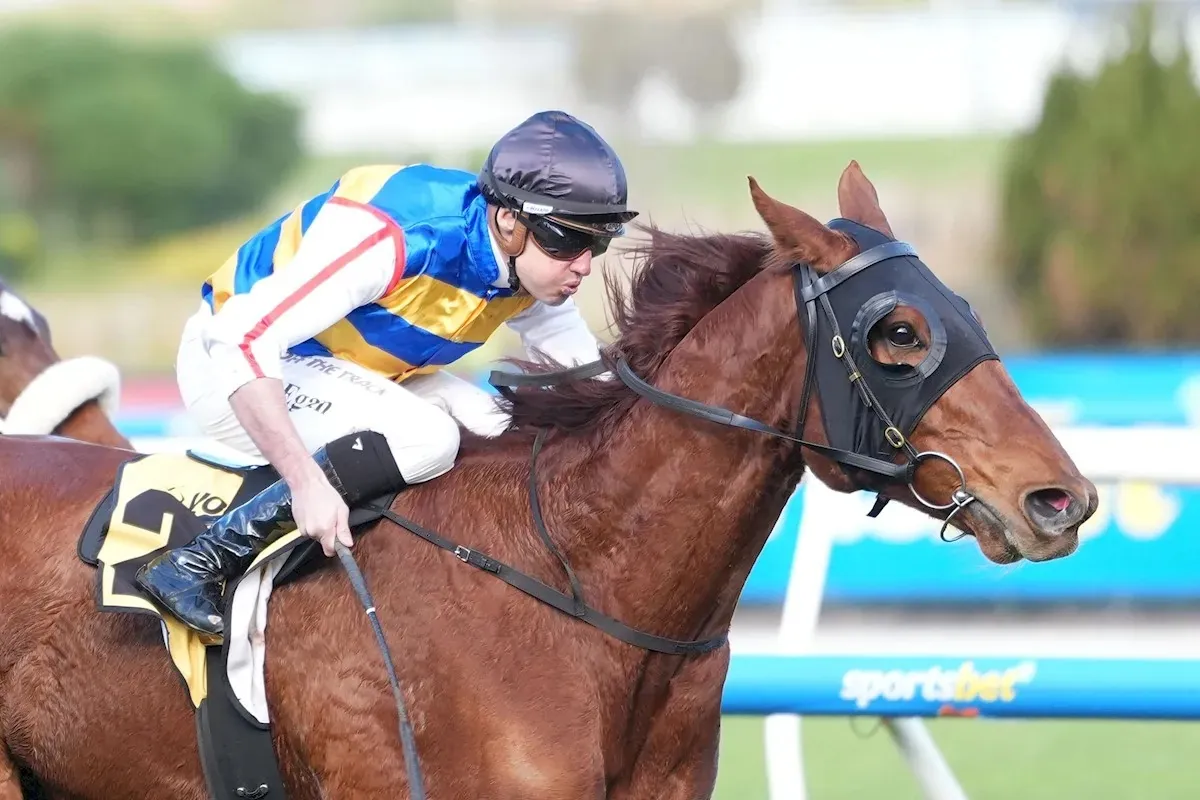 RACING: JIMMY BEARS FRUIT AT FLEMINGTON Image