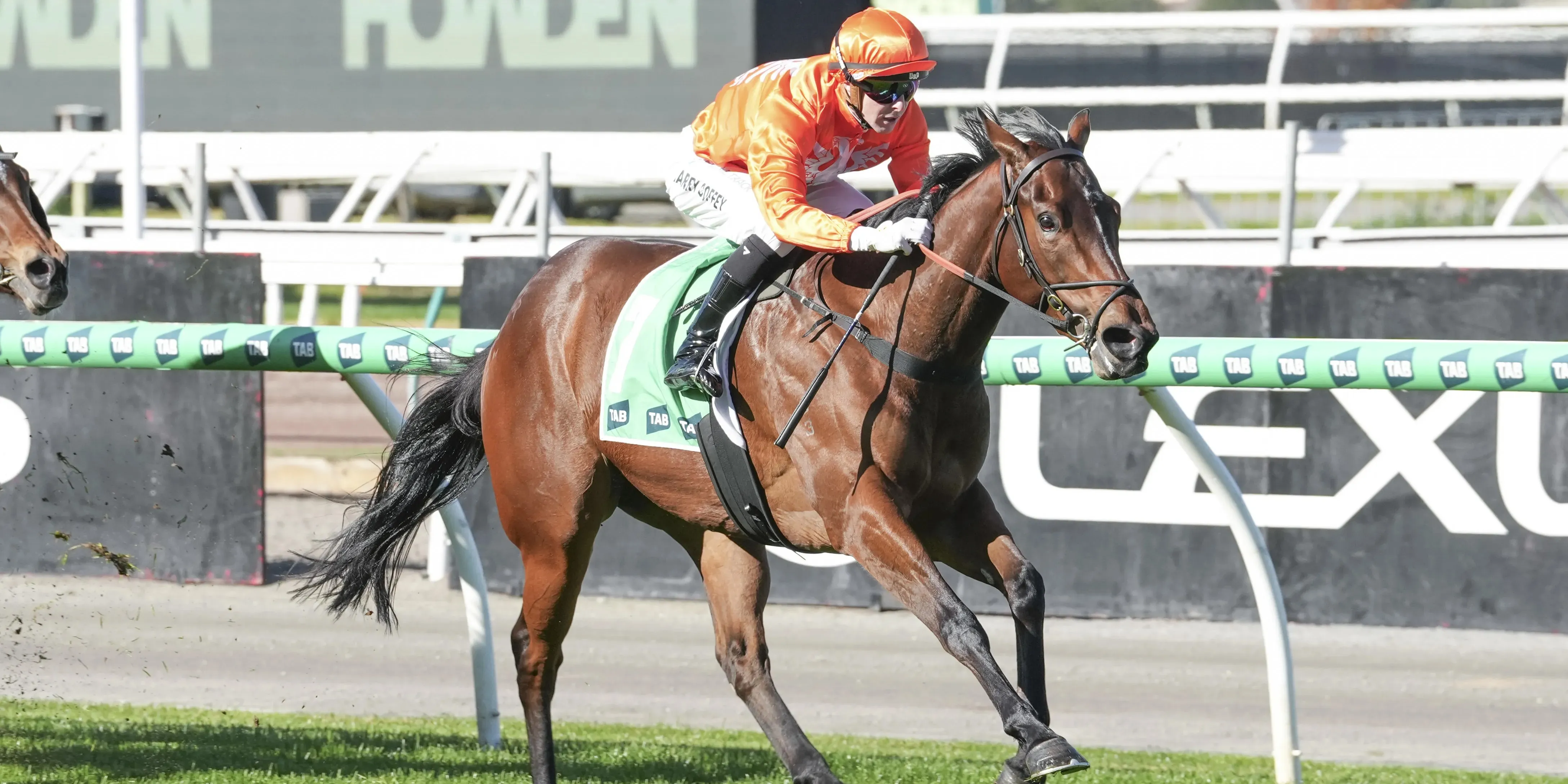 RACING: RIVERINA LULU UPSTAGES HIGHLY RATED RIVALS Image